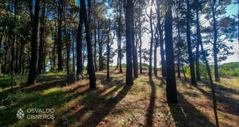 Descubre tu Rincón Perfecto en las zonas costeras Mar de las Pampas/ Mar Azul: La Importancia de la Ubicación.
